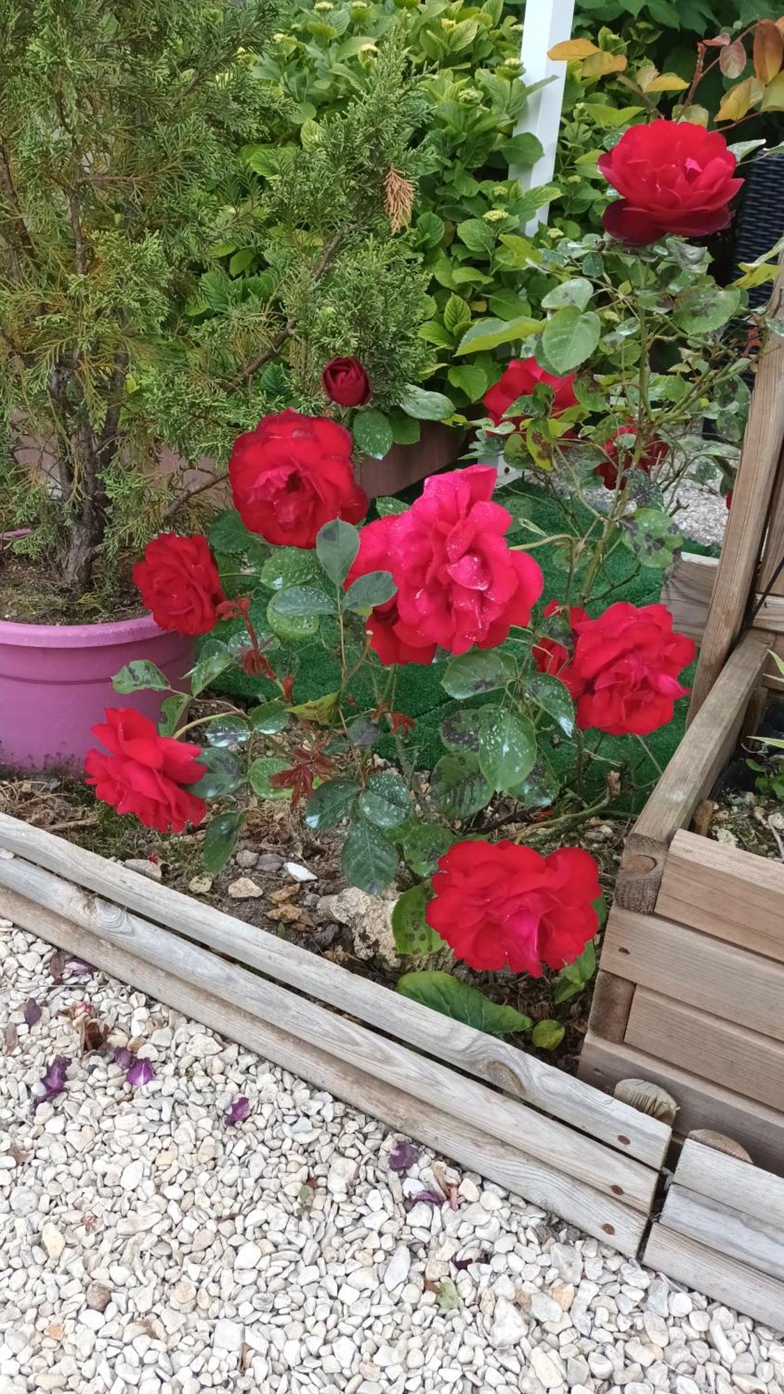 Le Clos Des Passiflores Пон Экстерьер фото